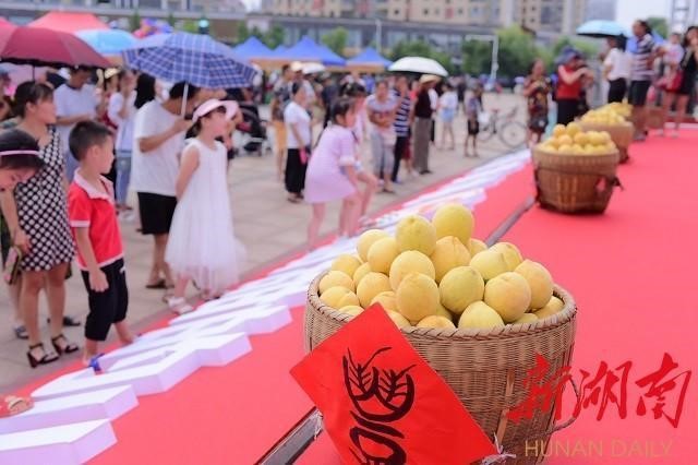 洪江市禹甜科技有限公司,黔阳瞐农产品的批发零售