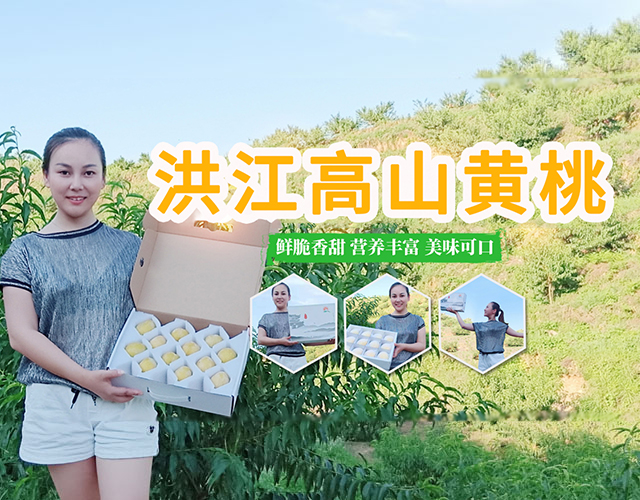 洪江市禹甜科技有限公司_黔阳瞐_农产品的批发零售